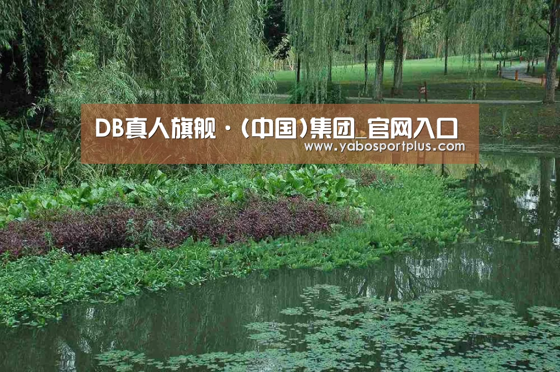案例展示一(图1)