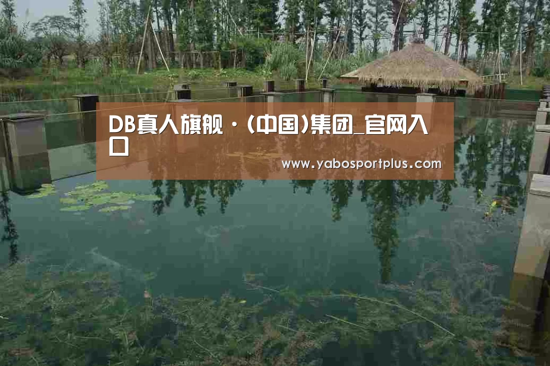 案例展示二