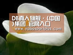 产品名称七