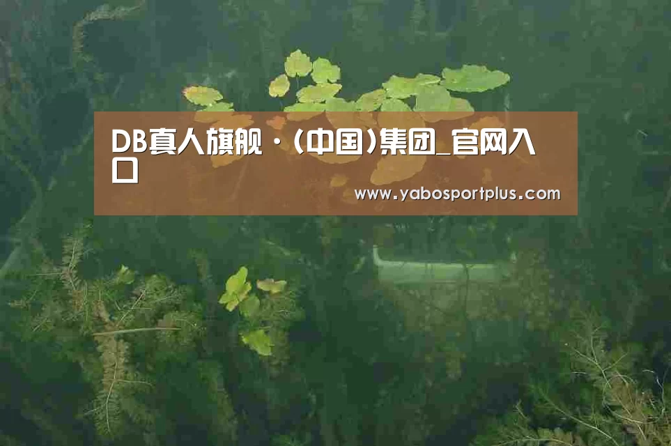 案例展示三