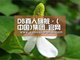 产品名称三