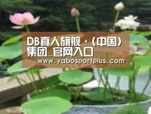 产品名称一