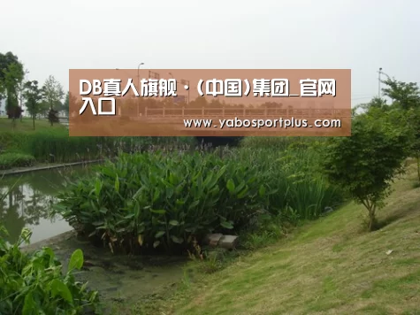 案例展示四