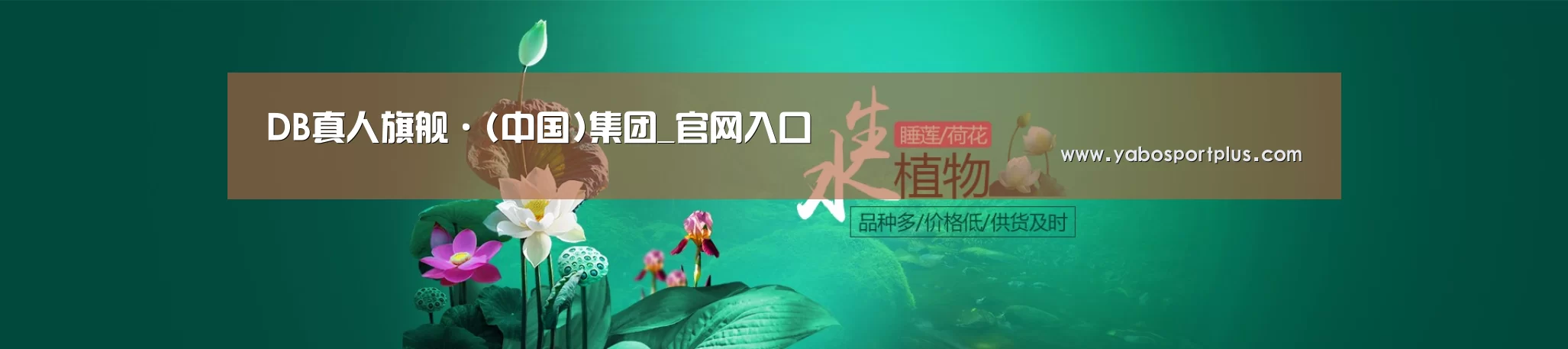 鲜花水草花卉网站模板