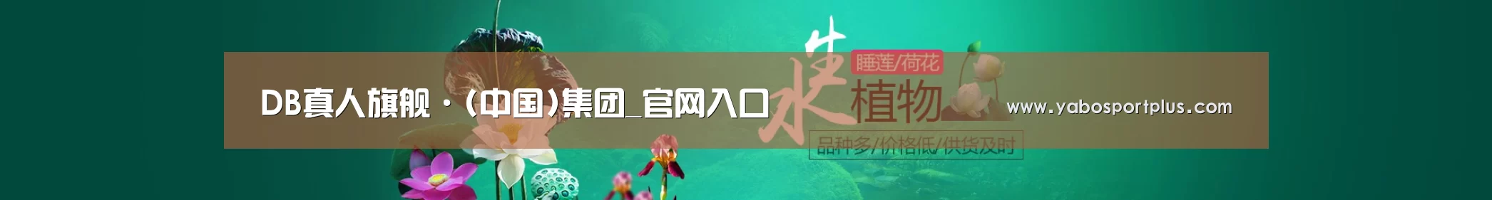 鲜花水草花卉网站模板