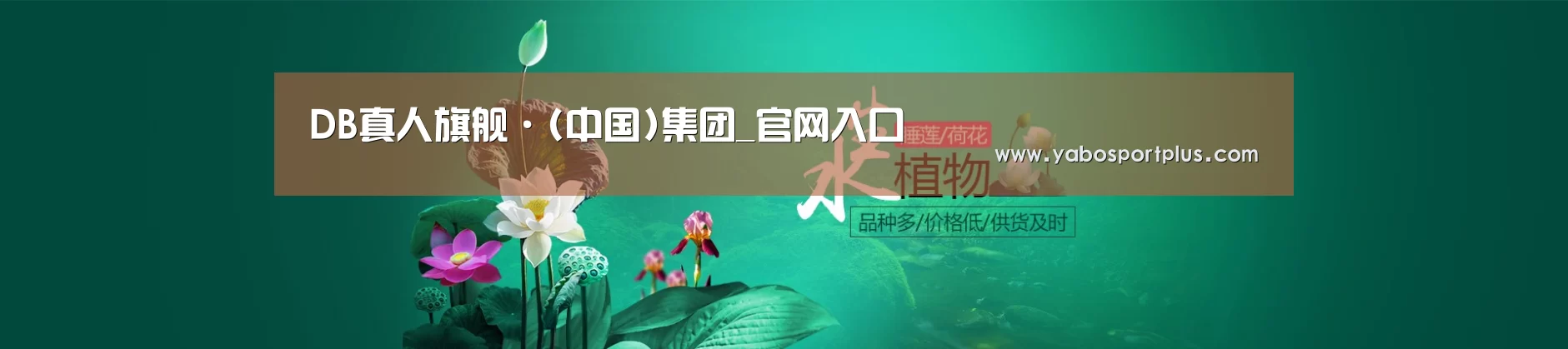 鲜花水草花卉网站模板
