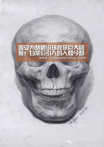 国安为慧眼识珠收获巨大回报!白菜价引入的人如今却成当红国脚“中国·DB真人旗舰(集团)”(图4) DB真人旗舰官网