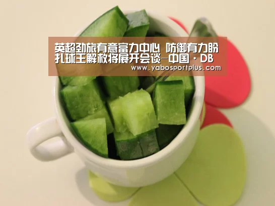 DB真人旗舰官网
