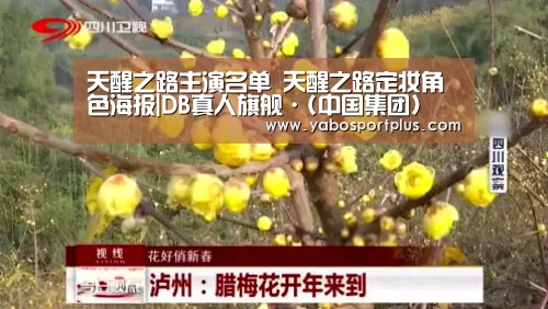 DB真人旗舰·(中国集团)