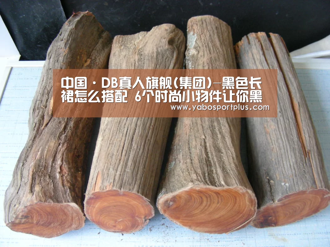 DB真人旗舰官网