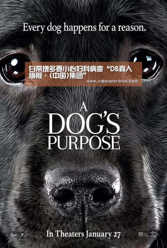 白带增多要小心妇科病变“DB真人旗舰·(中国)集团”(图3) DB真人旗舰·(中国集团)