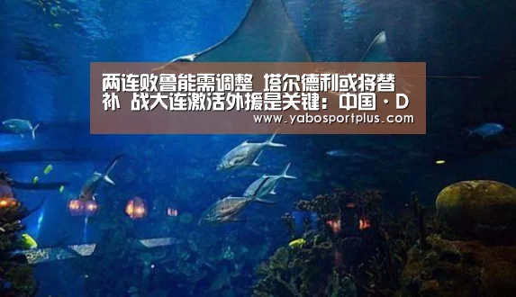 两连败鲁能需调整 塔尔德利或将替补 战大连激活外援是关键:中国·DB真人旗舰(集团)(图1) 中国·DB真人旗舰(集团)