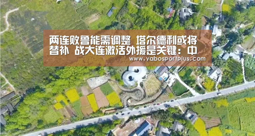 两连败鲁能需调整 塔尔德利或将替补 战大连激活外援是关键:中国·DB真人旗舰(集团)(图2) DB真人旗舰官网